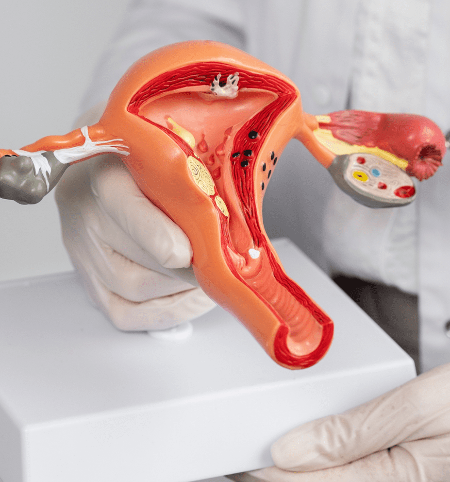 clinica dental condesa