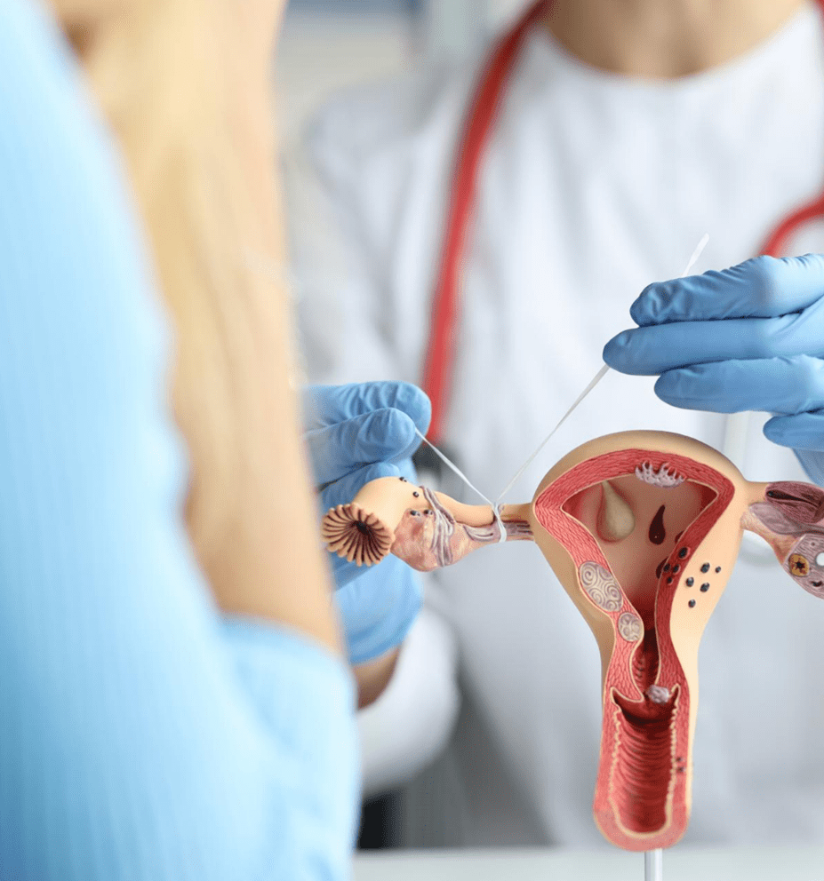 clinica dental condesa