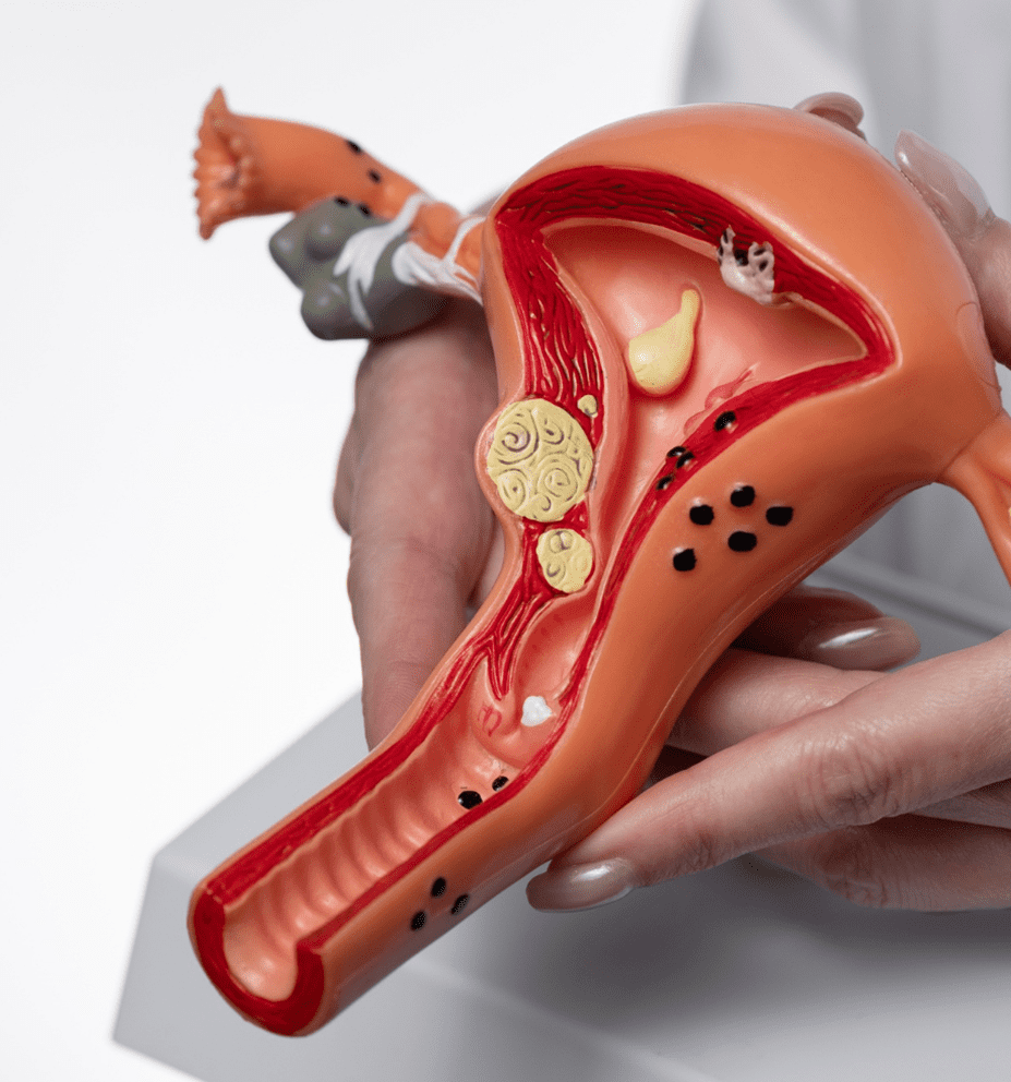 clinica dental condesa