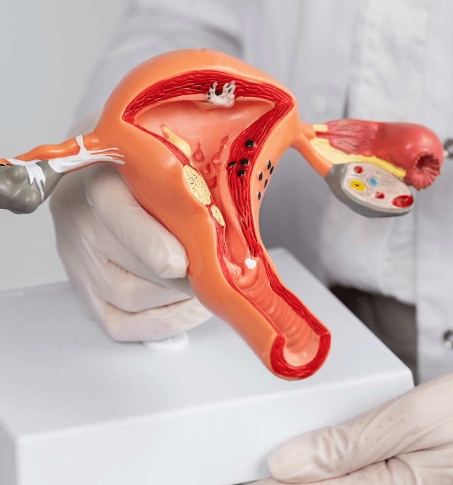 clinica dental condesa