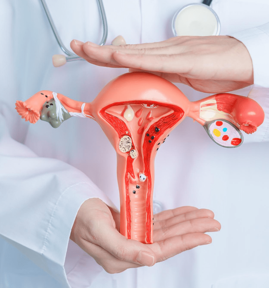 clinica dental condesa