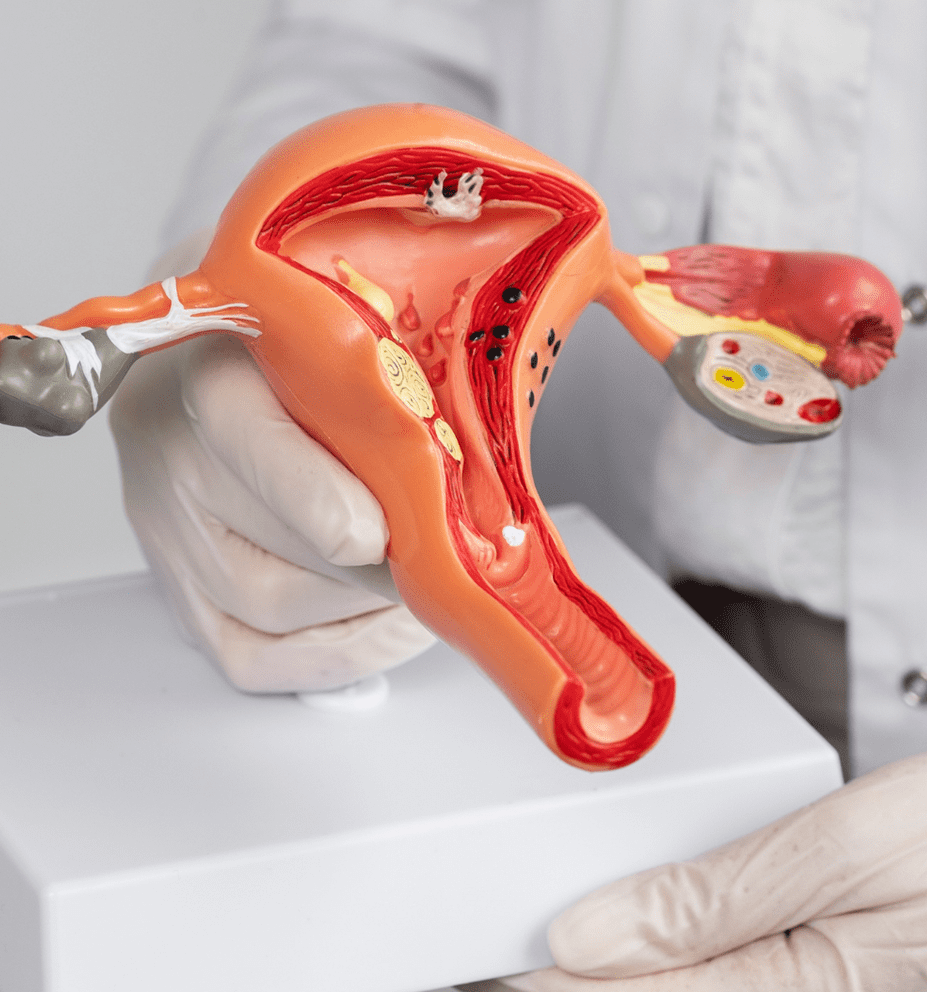 clinica dental condesa